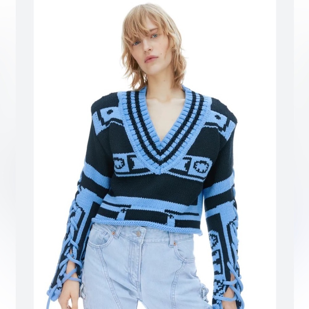 H&M Studio Collection Chunky Knit Sweater Black/Blue - Picture 2 of 14